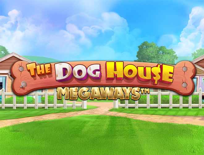 the dog house megaways