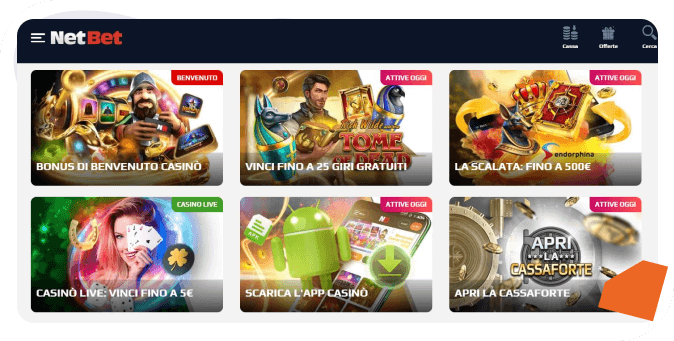 netbet paypal