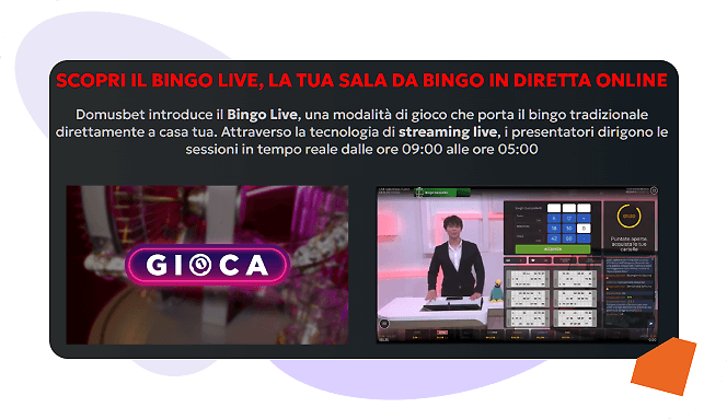 Live Bingo Domusbet