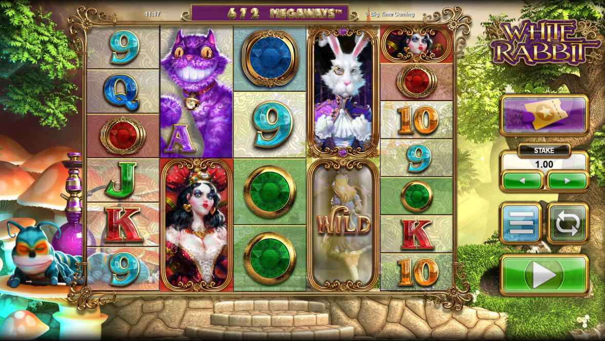 White rabbit background