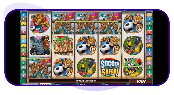 Soccer Safari